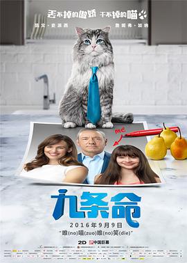 伊人资源
