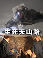 国产三级精品三级在线观看
