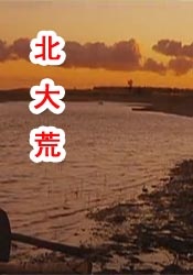 午夜精品久久久久久久2023