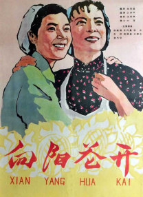 男女做视频直播