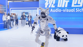 欧美成人v视频免费看